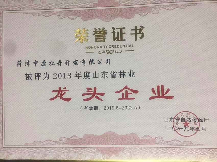 点击查看详细信息<br>标题：资质荣誉 阅读次数：581