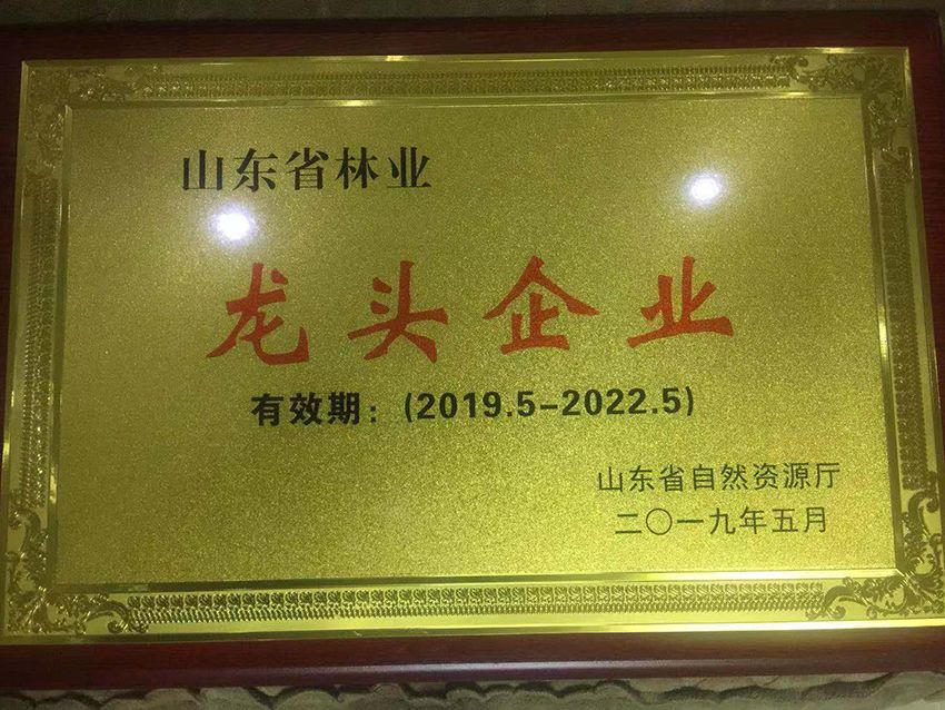 点击查看详细信息<br>标题：资质荣誉 阅读次数：594