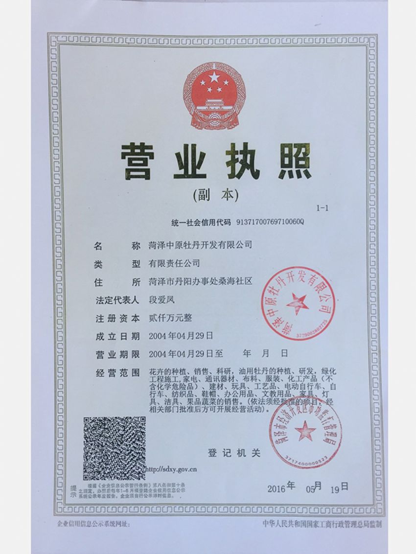 点击查看详细信息<br>标题：资质荣誉 阅读次数：826
