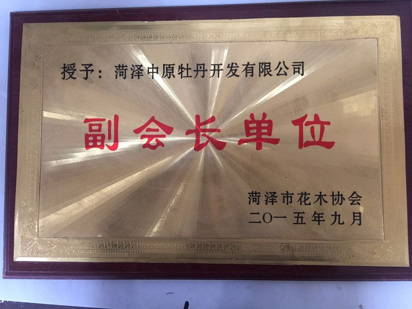 点击查看详细信息<br>标题：资质荣誉 阅读次数：921