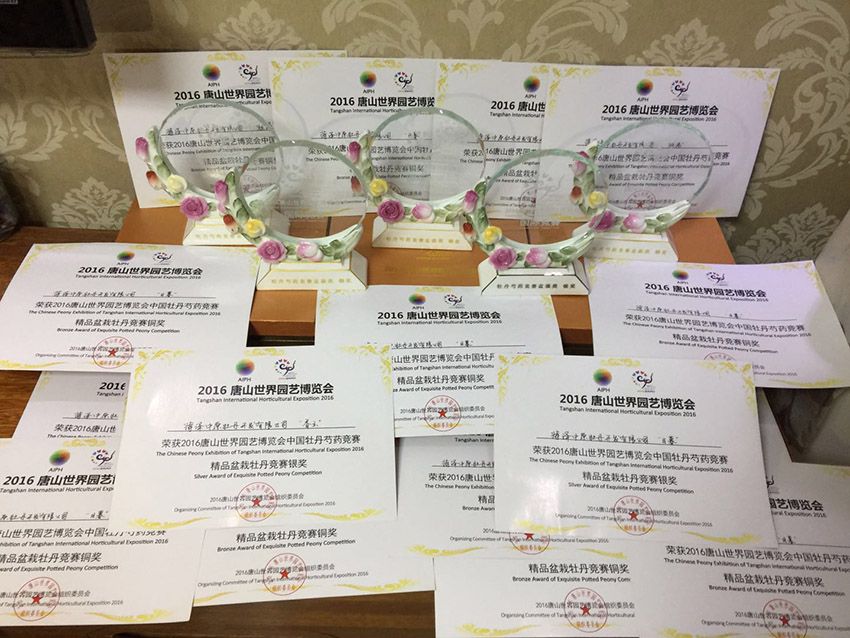点击查看详细信息<br>标题：资质荣誉 阅读次数：808