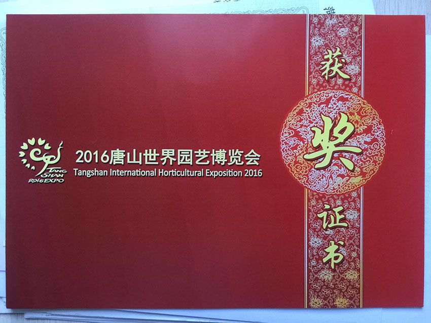 点击查看详细信息<br>标题：资质荣誉 阅读次数：767